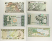 Mondiali - Lotto di 3 banconote: Malawi 50 Tambala 1986 P#18 - Sud Africa 10 Rand ND (1990-1993) P#120e - Maldive 2 Rufiyaa 1404 (1983) P#9

SPEDIZI...