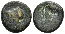 SERIE ANONIMA (c. 260 a.C.). Litra battuta a Napoli o Roma. AE (g 6,20). Testa elmata di Minerva a sinistra. R/ Testa di cavallo a destra. Crawford 17...