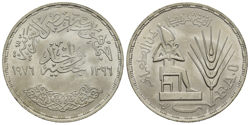 EGITTO. 1 Pound 1396 (1976). AR (g 15,00). Serie FAO. Leggenda araba con data. R...