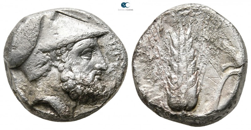 Lucania. Metapontion circa 340-330 BC. 
Nomos AR

19 mm., 7,65 g.

[ΛEYKIΠΠ...