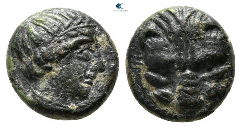 Bruttium. Rhegion 415-387 BC. 
Bronze Æ

10 mm., 1,27 g.

Facing lion's hea...