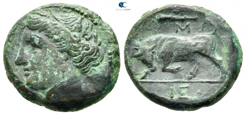 Sicily. Syracuse. Hieron II 275-215 BC. 
Bronze Æ

18 mm., 5,46 g.

[ΣYPAKO...