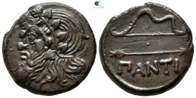 The Tauric Chersonese. Pantikapaion 340-325 BC. Bronze Æ