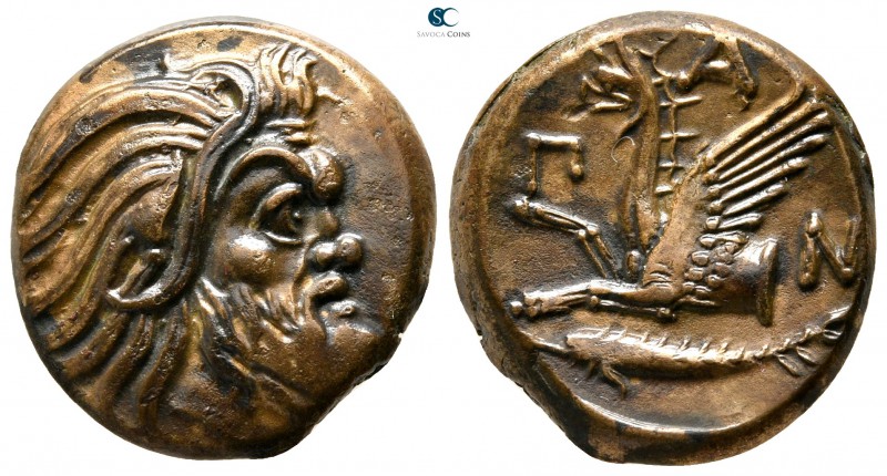 Cimmerian Bosporos. Pantikapaion 310-303 BC. 
Bronze Æ

22 mm., 7,91 g.

He...