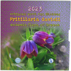 GREECE: 5 Euro (2023) in silver (0,333) commemorating the endemic flora of Greece / Fritillaria Davisii. Color flower and date on obverse. Inside offi...