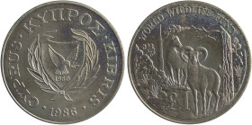 CYPRUS: 1 Pound (1986) in copper-nickel commemorating the world Wildlife Fund. Shielded coat of arms within wreath on obverse. Cyprian wild sheep (Mou...
