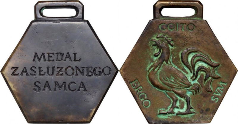 PRL, medal Zasłużonego Samca, Ergo Coito Sum Brąz, waga 328,18 g, wymiary 97 x 9...