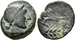 HISPANIA ANTIGUA. ABRA. As. A/ Cabeza femenina a der.; UEKuEKi, parcialmente visible. R/ Arado sobre espiga a der.; encima ley. ibérica KiONIS parcial...