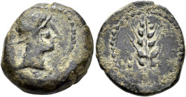 HISPANIA ANTIGUA. CARMO. Sexto. A/ Cabeza con casco a der. R/ Espiga. AE 4,86 g. 18,36 mm. I-472; ACIP-2385; CC-3437, mismo ejemplar. Anv. algo descen...