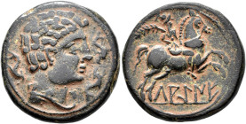 HISPANIA ANTIGUA. LAKINE. Unidad. A/ Cabeza masculina con torques a der., alrededor tres delfines. R/ Jinete con palma a der., debajo sobre línea LAKi...