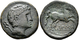 HISPANIA ANTIGUA. LAURO. Mitad. A/ Cabeza masculina a der., detrás, caduceo. R/ Caballo galopando a der., debajo, sobre línea, LAURO. AE 7,76 g. 19,7 ...
