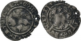 Provinical - HOLLAND Graafschap 1049 - 1581
⅛ (?) Groot van 3 Mijt z.j, Silver, MARIA de Rijke van Bourgondië 1477–1482 Vijfbladige bloem in gepareld...