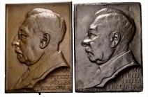 Medals
HISTORIEPENNIGEN - HISTORICAL MEDALS - MR. PIETER JELLES TROELSTRA (2) 1926, by door J.C. Wienecke. Eenzijdige plaquette. Borstbeeld naar link...