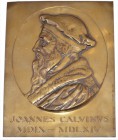 Medals
HISTORIEPENNIGEN - HISTORICAL MEDALS - JOHANNES CALVIJN 1930, by door J.C. Wienecke. Borstbeeld in ovaal naar links. JOANNES CALVINVS / MDIX -...