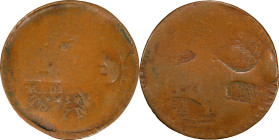 NEW YORK. Troy. Undated (1835) J. & C. Peck. HT-364, Low-272, W-NY-1720-30a, Wood-28. Rarity-7. Copper. Plain Edge. Fine-12 (PCGS).
28.5 mm. HT-364 i...