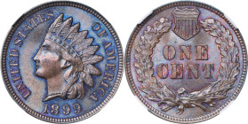 1899 Indian Cent. MS-66 BN (NGC).
PCGS# 2202. NGC ID: 228U.

Estimate: $270