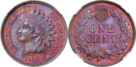 1899 Indian Cent. MS-65 RB (NGC).
PCGS# 2203. NGC ID: 228U.

Estimate: $225