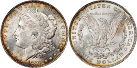 1878 Morgan Silver Dollar. 8 Tailfeathers. MS-63 (PCGS).
PCGS# 7072. NGC ID: 253H.

Estimate: $425