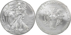 2011-(S) Silver Eagle. MS-69 (NGC).
PCGS# 508069. NGC ID: 26KT.

Estimate: $100