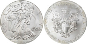 2013 Silver Eagle. Early Releases. MS-69 (NGC).
PCGS# 515914. NGC ID: 2U6X.

Estimate: $50