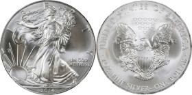 2014-(S) Silver Eagle. MS-69 (NGC).
PCGS# 521927. NGC ID: ASES.

Estimate: $55