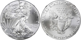 2016-(W) Silver Eagle. Early Releases. MS-70 (NGC).
PCGS# 570499. NGC ID: E57N.

Estimate: $85