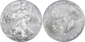 2017-(W) Silver Eagle. First Releases. MS-70 (NGC).
PCGS# 619682. NGC ID: CTAY.

Estimate: $40