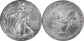 2018-W Silver Eagle. Early Releases. MS-70 (NGC).
PCGS# 675872. NGC ID: D5AA.

Estimate: $100