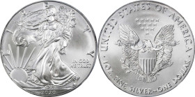 2020-(P) Silver Eagle. Emergency Production. First Day of Issue. MS-70 (NGC).
PCGS# 817903. NGC ID: E57V.

Estimate: $75