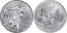 2021-(S) Silver Eagle. Type I, Heraldic Eagle. First Day of Issue. Emergency Issue. MS-70 (PCGS).
PCGS# 847106. NGC ID: EAYV.

Estimate: $75