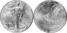 2021 Silver Eagle. Type II, Eagle Landing. First Day of Issue. MS-70 (NGC). Mint Designer Michael Gaudioso Signature.
PCGS# 880924. NGC ID: EAYU.

...