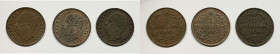 REGNO D'ITALIA. Umberto I (1878-1900). 1 Centesimo 1895, 1895, 1896. Lotto di 3 esemplari. Cu. 

SPL-SPL+