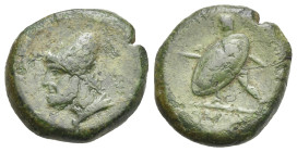 Greek. Umbria. Ariminum. Circa 268-225 BC. Uncertain denomination (Bronze, 19.7 mm, 6.56 g). Bust of Vulcan left. Rev. Warrior striding left, holding ...