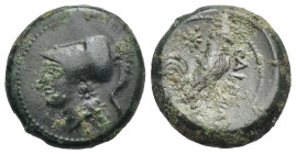 Greek. Campania. Cales. Circa 265-240 BC. (Bronze, 19.30 mm, 6.58 g). Head of Athena left, wearing crested Corinthian helmet. Rev. CALENO, Cock standi...