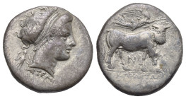 Greek. Campania. Neapolis. Circa 300-275 BC. Didrachm (Silver, 20.49 mm, 7.11 g). Diademed head of Parthenope right, wearing pendant earring and pearl...