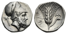 Greek. Lucania. Metapontion. Circa 340-330 BC. Didrachm (Silver, 21.43 mm, 7.76 g). Head of Leukippos right, wearing Corinthian helmet, crossed torch ...