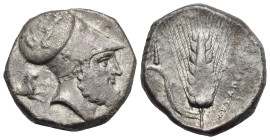 Greek. Lucania. Metapontion. Circa 340-330 BC. Distater (Silver, 25.58 mm, 15.44 g). Head of Leukippos right, wearing Corinthian helmet; behind neck, ...