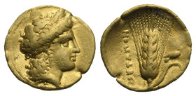 Greek. Lucania. Metapontium. Time of Alexander the Molossian. Circa 334-322 BC. Tetrobol or Third stater (Gold, 13.50 mm, 2.58 g). Head of Hera right,...