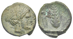 Greek. Lucania. Metapontion. Circa 425-350 BC. Uncertain Denomination (Bronze, 21.13 mm, 7.07 g). Head of Nike right; in left field, anullet. Rev. [M ...