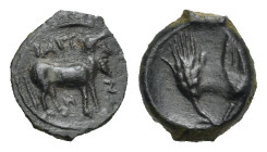 Greek. Sicily. Iaitos. Circa 330-260 BC. Onkia ? (Bronze, 11.43 mm, 1.19 g). IAITI – NΩ – N, Bearded man-faced bull advancing right. Rev. Grain ear an...