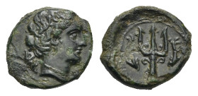 Greek. Sicily. Messana. Circa 338-275 BC. Uncertain Denomination (Bronze, 13.43 mm, 1.60 g). Head of nymph Pelorias right, shell behind the neck. Rev....