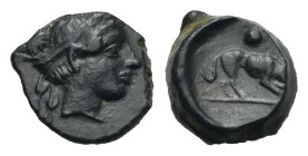 Greek. Sicily. Segesta. Circa 420-415 BC. Onkia (Bronze, 12.69 mm, 2.03 g). Head of nymph Egesta right, hair tied in sphendone. Rev. Ηound sniffing ri...