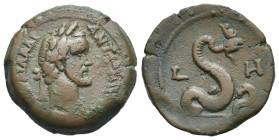 Roman Provincial. Egypt. Alexandria. Antoninus Pius, 138-161. Diobol (Bronze, 23.67 mm, 9.05 g). Dated RY 8 = AD 144-145. [ΑΥΤ Κ Τ] ΑΙΛ ΑΔΡ - ΑΝΤωΝ[ΙΝ...