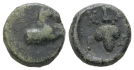 Thrace, Maroneia. AE. 2.81 g. - 12.63 mm. Circa 400-350 BC.
Obv.: Forepart of horse to right
Rev.: Μ-Α-Ρ-Ω. Bunch of grapes within dotted linear squar...