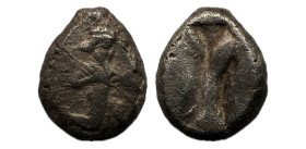 Imperio Aqueménida. Tiempos de Xerxes I a Xerxes II. Siglos. 485-420 a.C. Sardes. (Carradice-Type IIIb, group A/B). (Bmc arabia-22/25). (Sunrise-25). ...