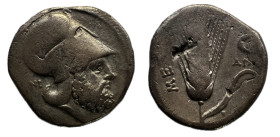 Lucania. Metapontion. Estátera. 340-330 a.C. (Sng Ans-432/42). Anv.: Cabeza con casco de Leukippos a la derecha; detrás parte delantera de león. Rev.:...