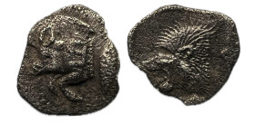 Misia. Kízikos. Óbolo. 450-400 a.C. (Sng Francia-361). Anv.: Parte delantera de jabalí a izquierda, atún hacia arriba a la derecha. Rev.: Cabeza de le...