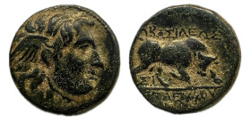 Seleuco I. Antioquia. Bronce. 312-280 a.C. (SNG Spear 21ff). Anv.: Cabeza alada a la derecha. Rev: Toro empujando hacia la derecha. Ae. 2,80 g. MBC+. ...