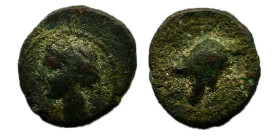 Cartagonova. 1/4 calco. 220-215 a.C. Cartagena (Murcia). (Abh-521). Anv.: Cabeza de Tanit a izquierda. Rev.: Casco. Ae. 1,40 g. MBC. Est…40,00.