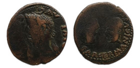 Colonia Rómula. Época de Tiberio. As. Unidad. 14-36 d.C. Sevilla. (Abh-2016). (Acip-3361). Anv.: Cabeza laureada de Tiberio a izquierda, alrededor PER...